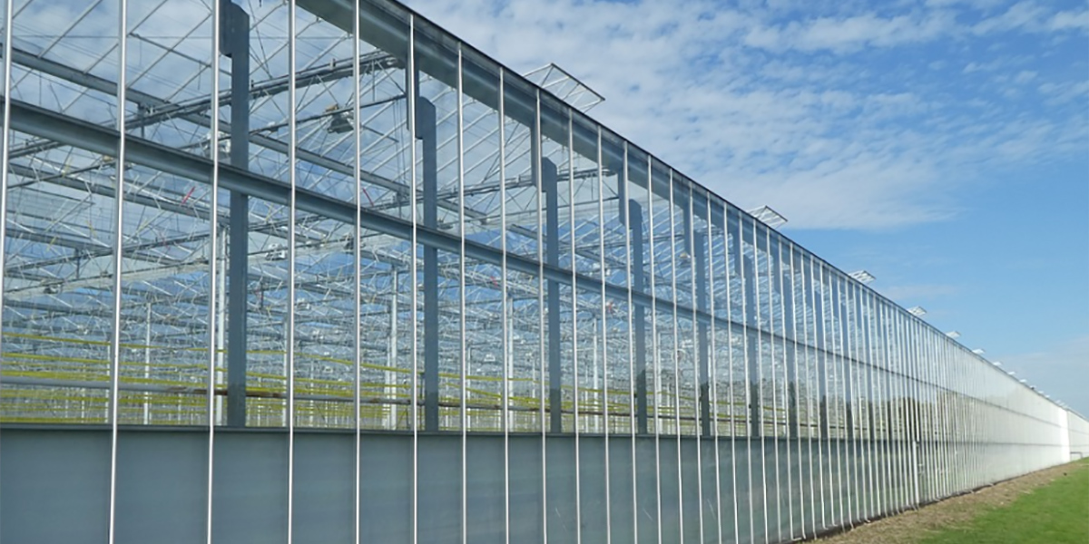 Dalla serricoltura dipende l’autonomia alimentare dell’Europa 